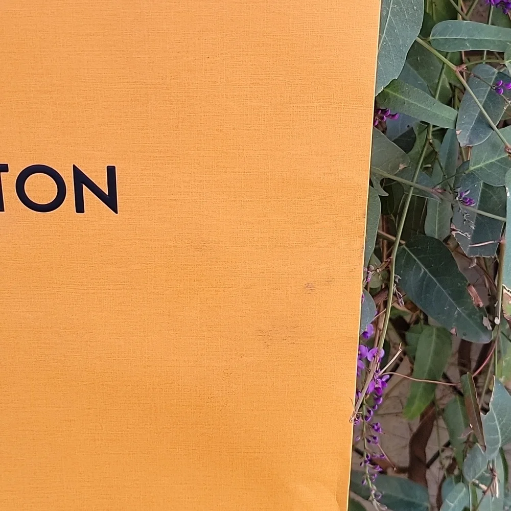 Louis Vuitton Shopping Bag